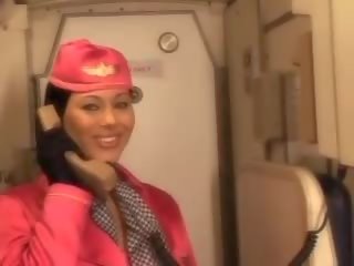 Superb air hostess sucking pilots big member